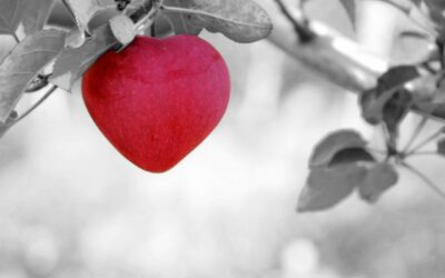 Qué es la coherencia cardiaca y cómo te beneficia.
